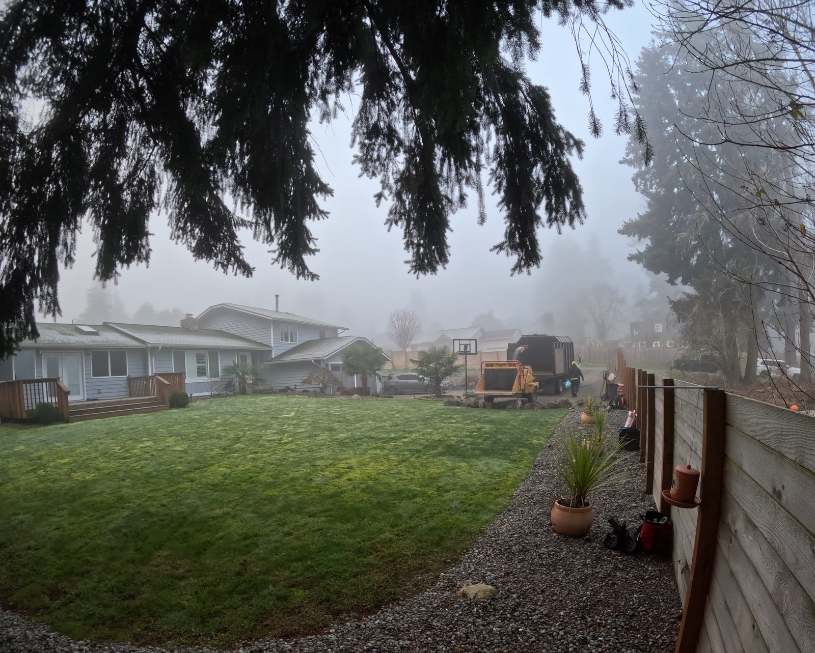 Pacific West Trees Team